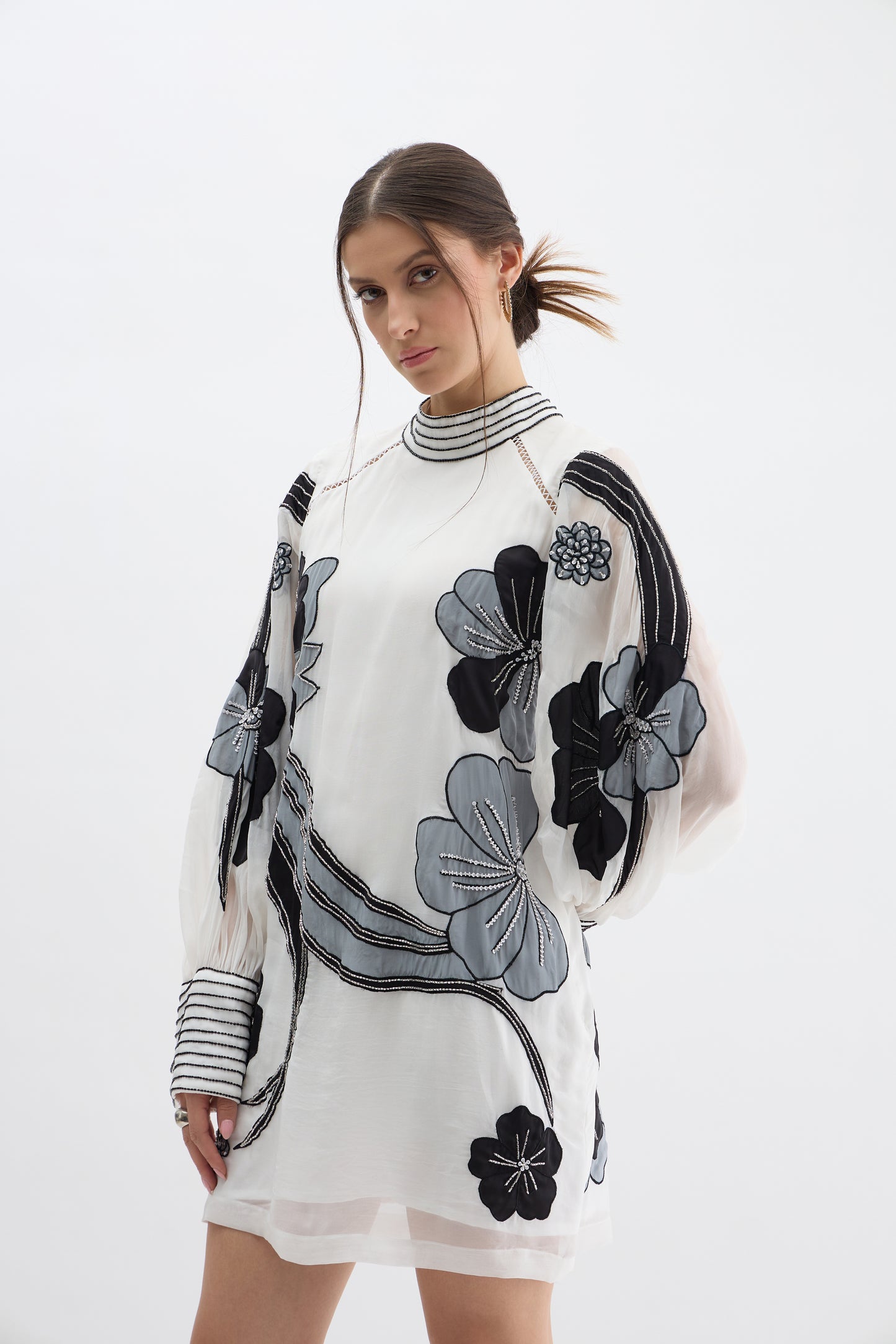 Monochrome Floral Embroidered Sheer Sleeve Dress