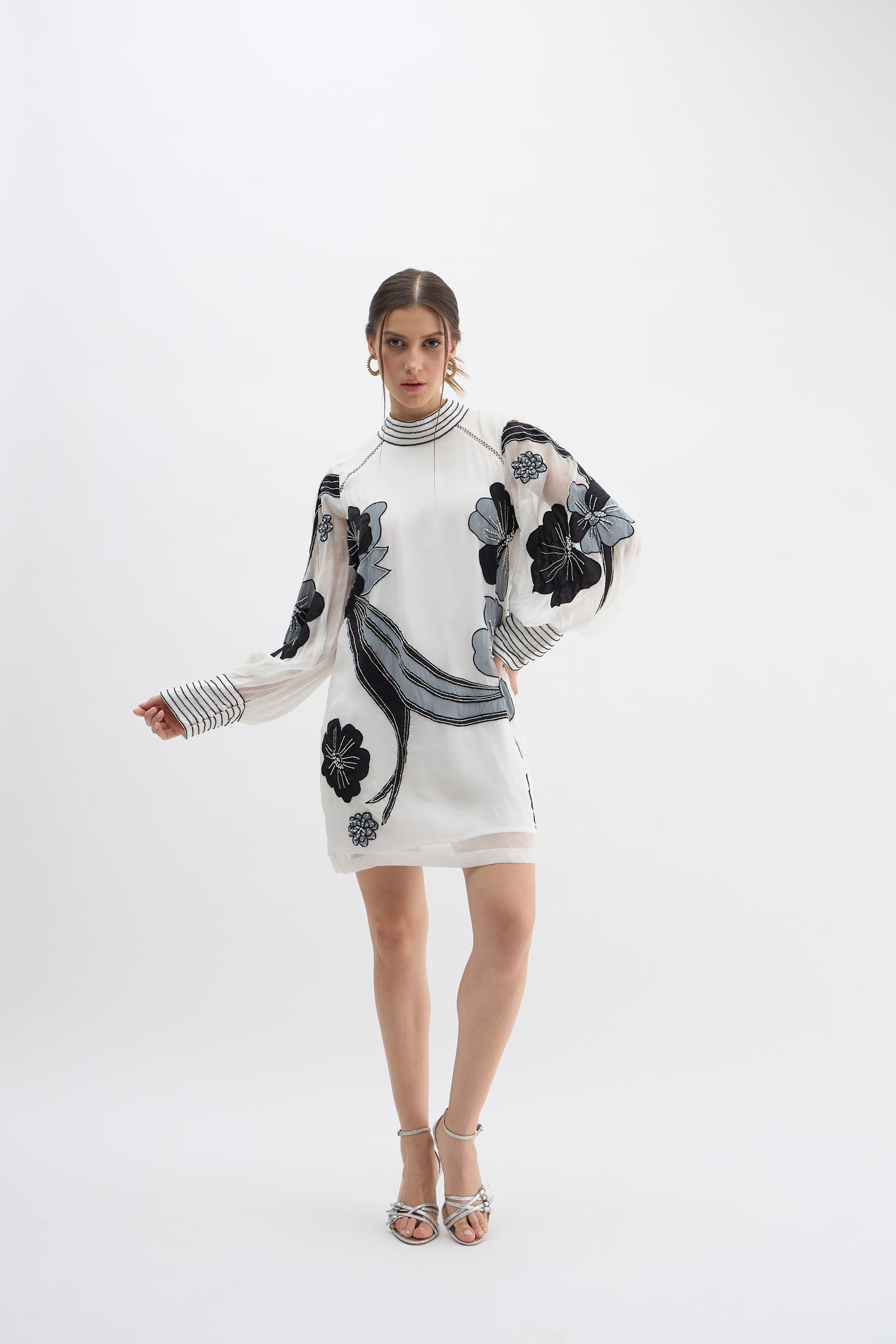 Monochrome Floral Embroidered Sheer Sleeve Dress