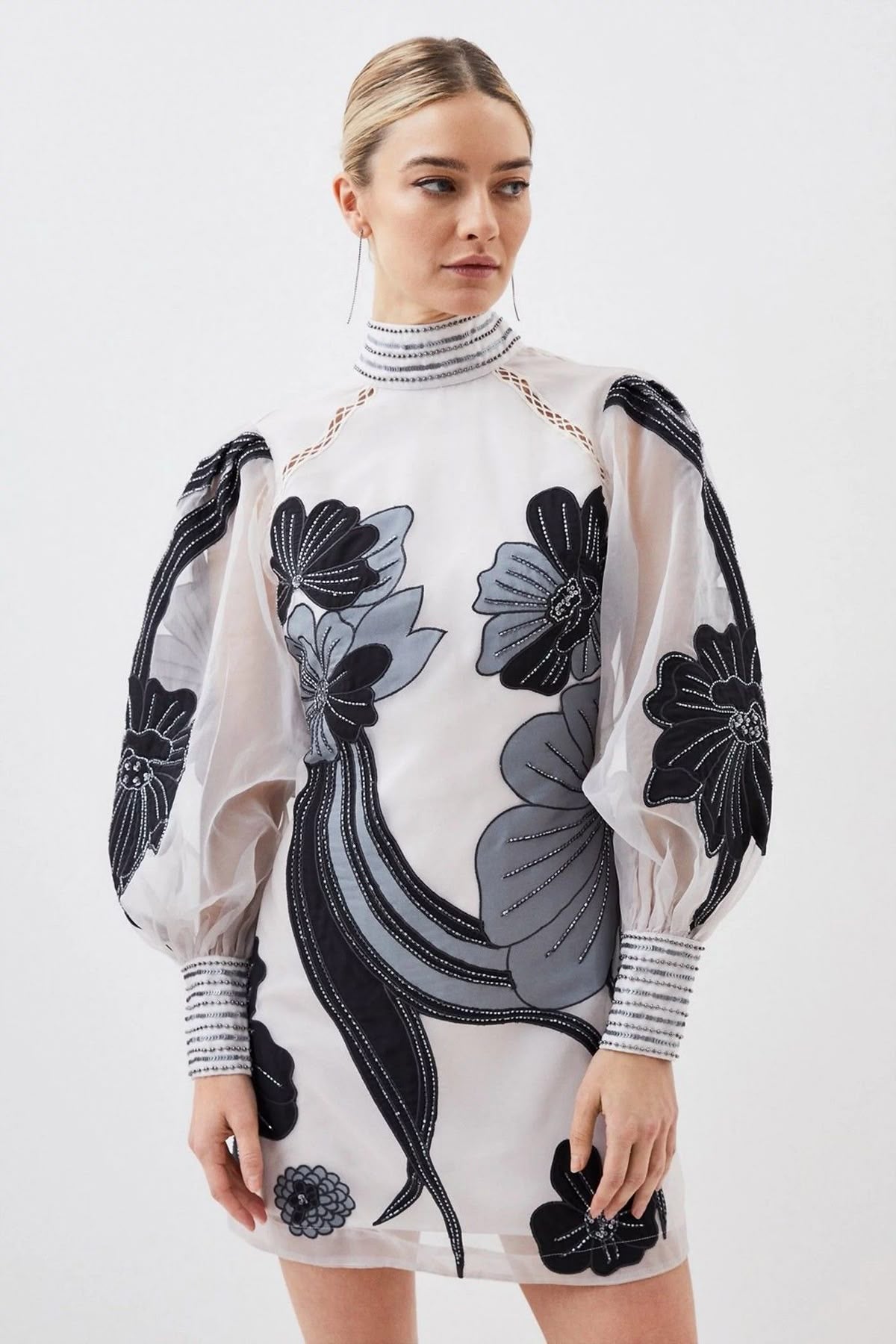 Monochrome Floral Embroidered Sheer Sleeve Dress