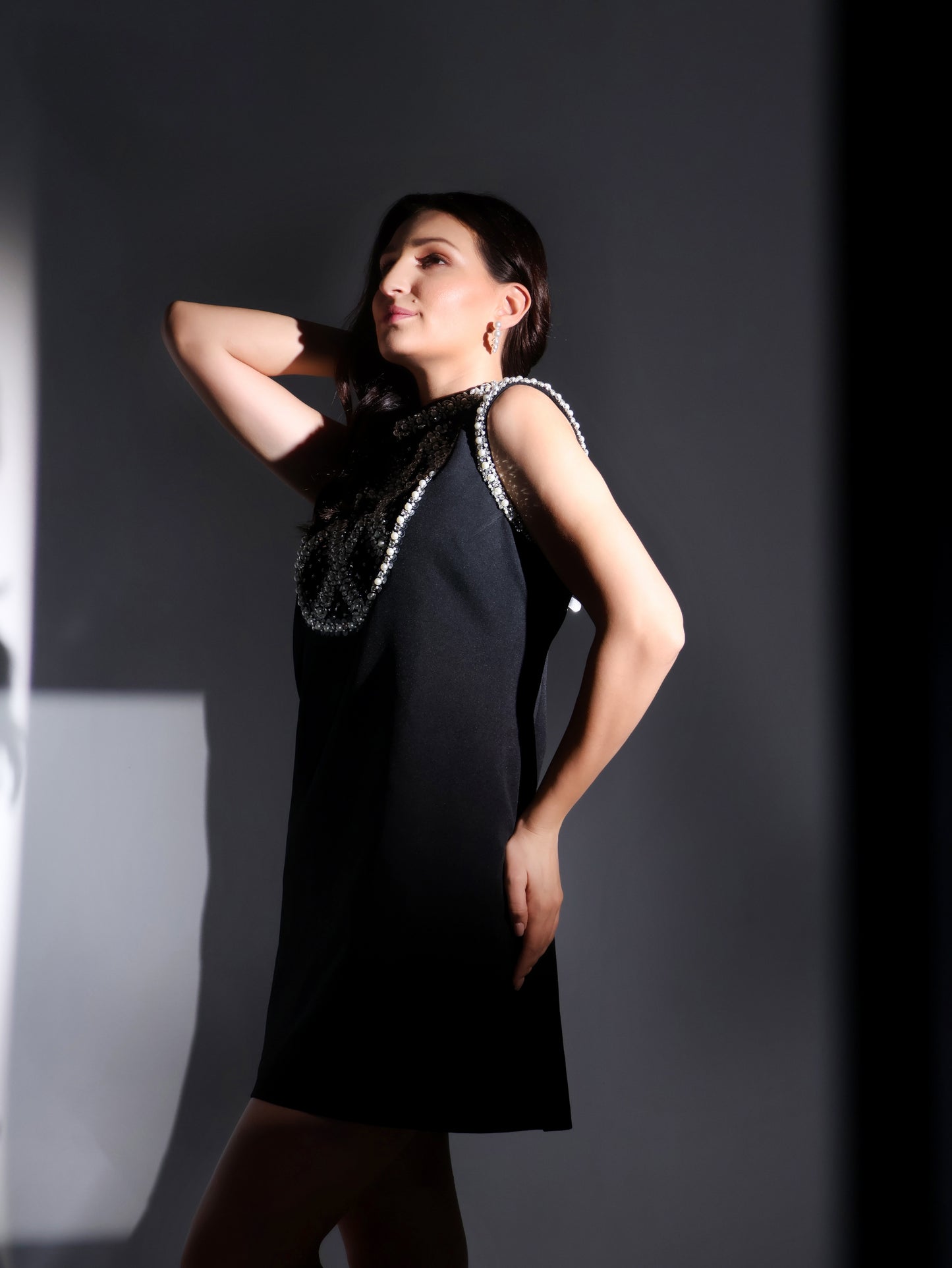 Black Sleeveless Dress with Stonework Detailing