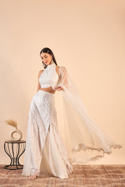 Crop Top Fish Cut with the Skirt Co-ord