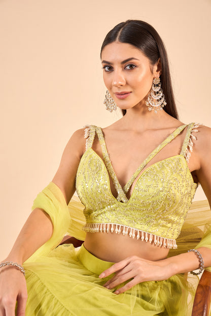 Ruffled Net Lehenga with Embroidery