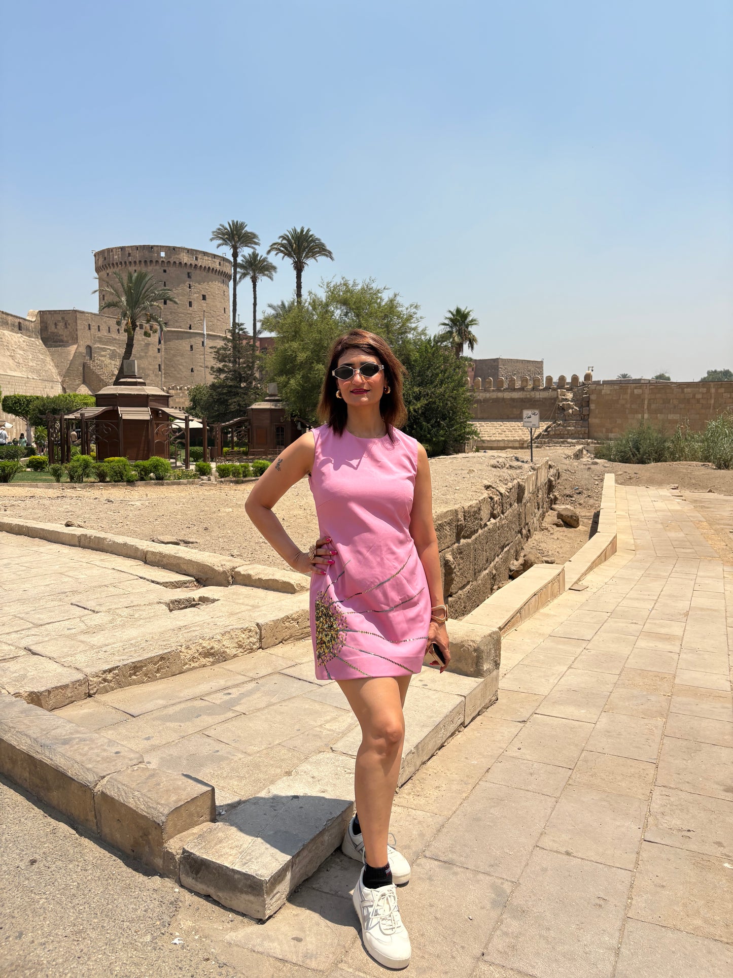 Rose Radiance Embellished Mini Dress