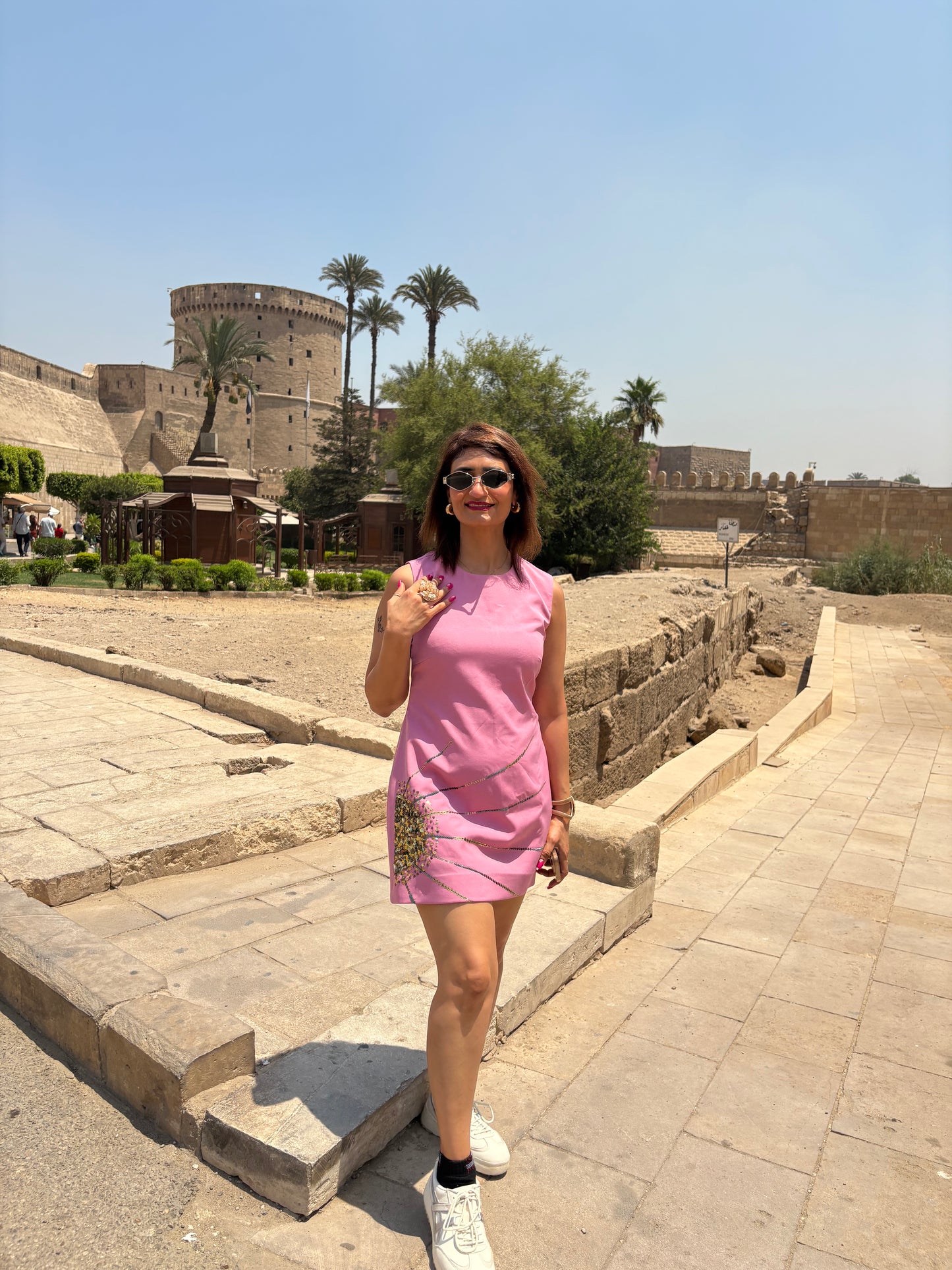 Rose Radiance Embellished Mini Dress